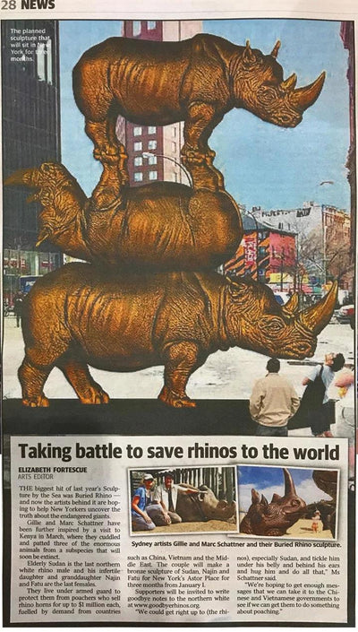 Taking battle to save rhinos to the world