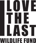 Love the Last